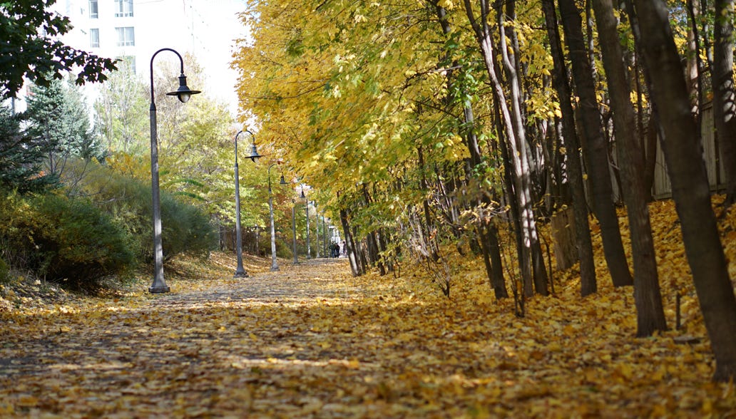 Beltline