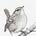 Prairie Wren's avatar