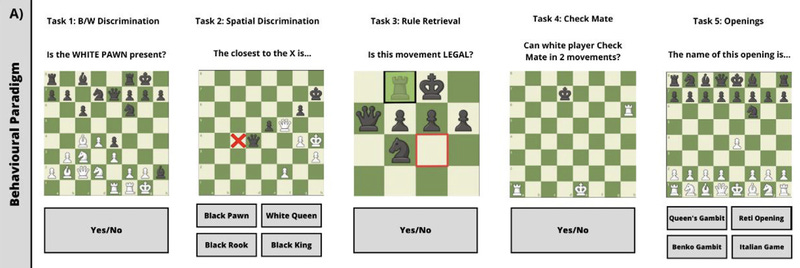 Screen Shot 2024-08-12 at 9.20.06 PM.png