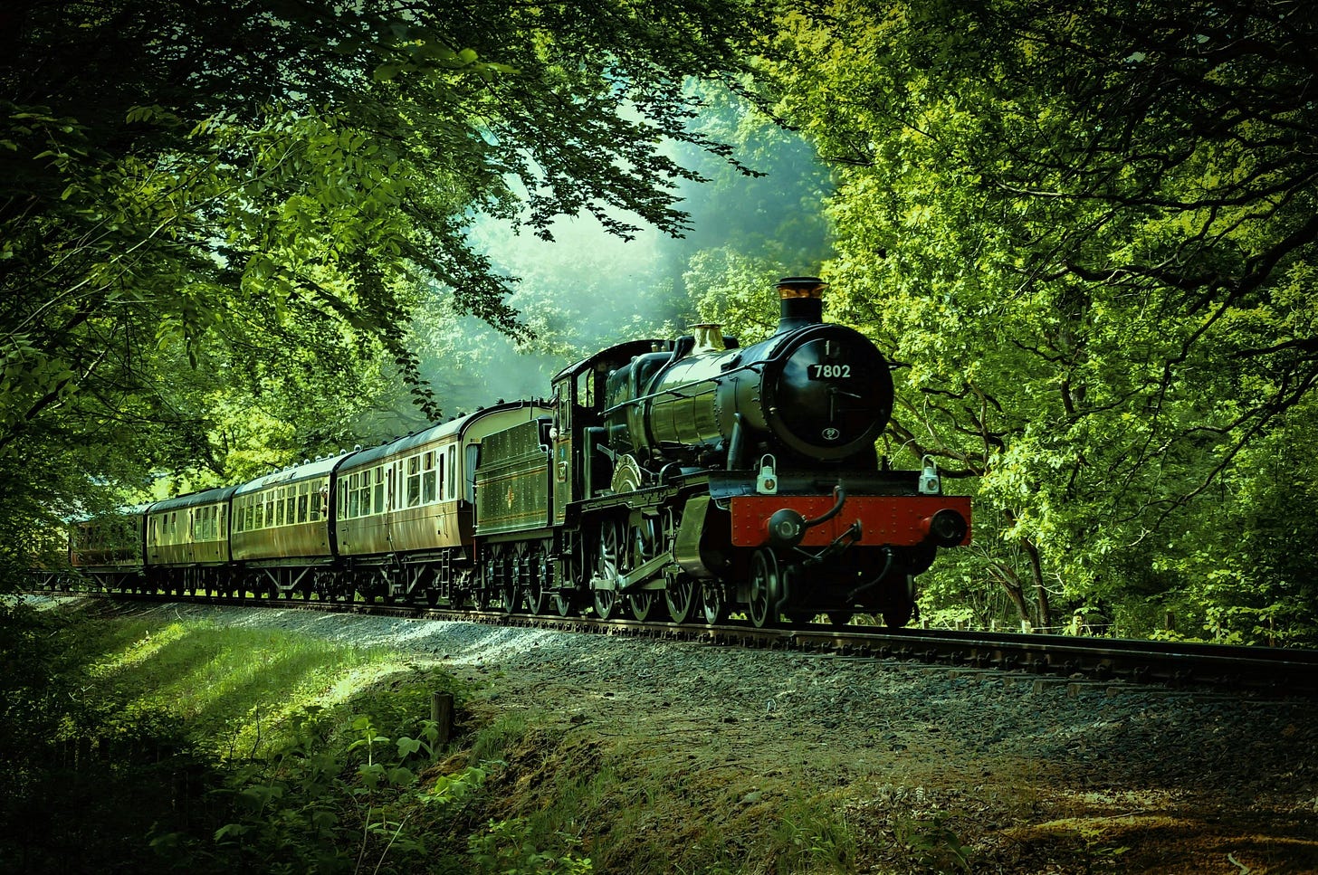 a steam train travelling through a forest