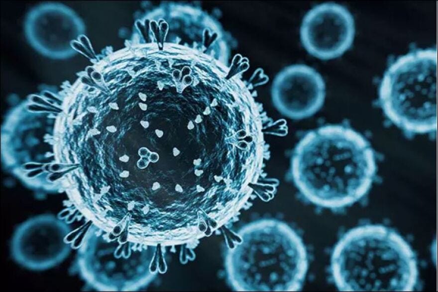 Deadly H5N1 bird flu becomes an 'existential threat' to biodiversity  worldwide | WUSF