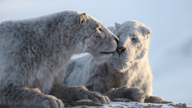 Scimitar cats in “Prehistoric Planet: Ice Age,” premiering Wednesday, November 26, 2025 on Apple TV+. Scimitar cats in “Prehistoric Planet: Ice Age,” premiering Wednesday, November 26, 2025 on Apple TV+.