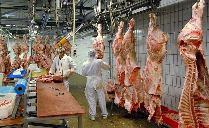 Abattoir Sector Group established to support local UK slaughterhouse  network | Farm News | Farmers Guardian
