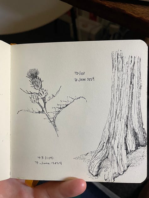 Nine drawings of outdoor spaces and plants, some done with pastel, some done with just pen.