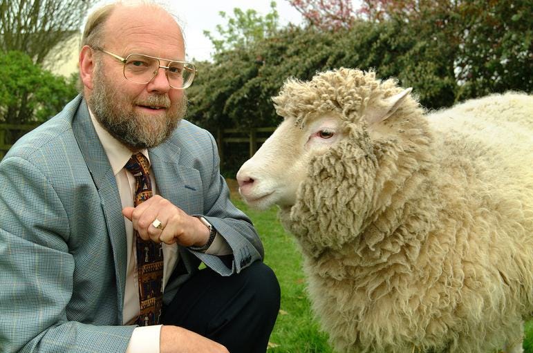 A man with a beard and glasses wearing a shirt, tie, and blazer, kneeling beside a large white sheep A man with a beard and glasses wearing a shirt, tie, and blazer, kneeling beside a large white sheep
