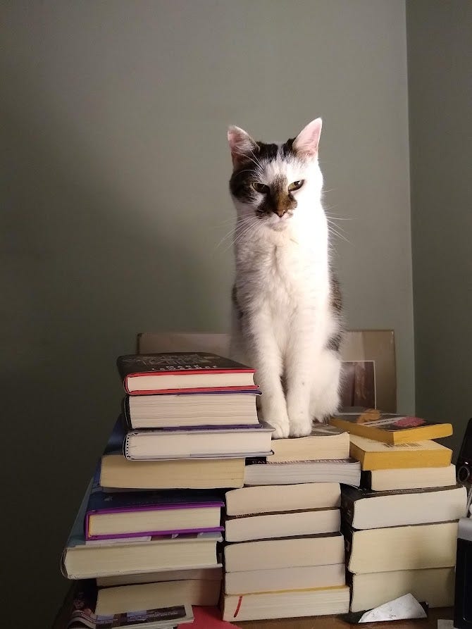 a gif of a stack of pancakes smoking a pipe beside a stack of books, with a photo of Teeter standing on a stack of books