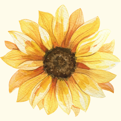 Here Goes Everything