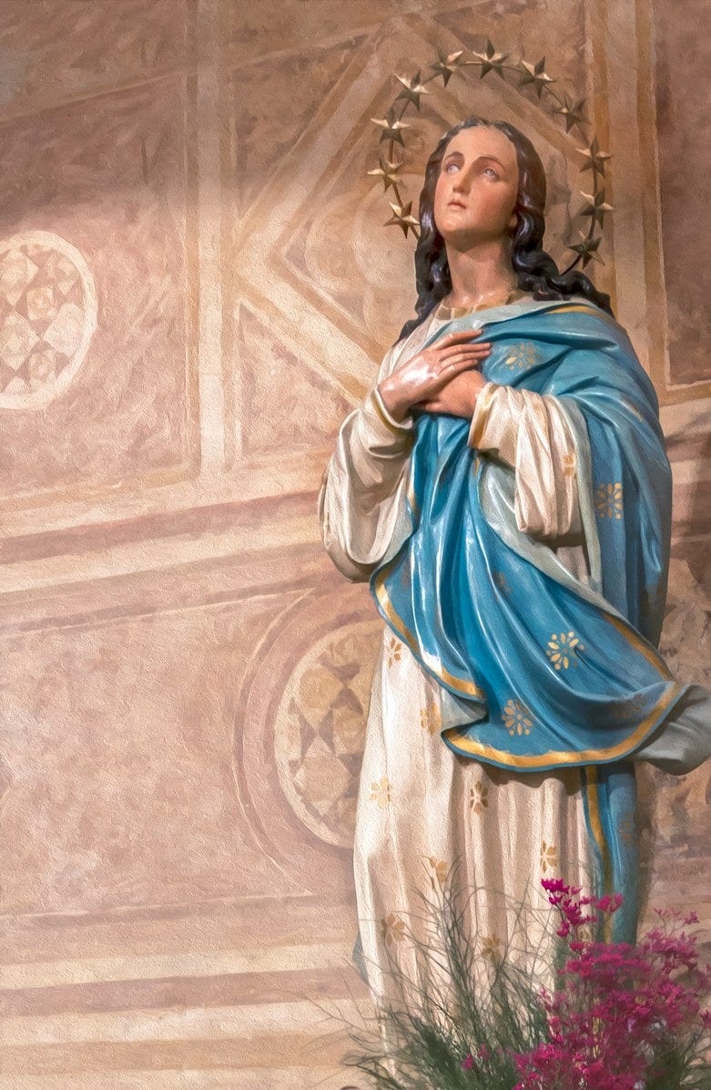 virgin mary statue beside pink flowers