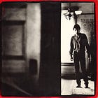 I Was a Teenage Springsteen Fanatic (Part One)