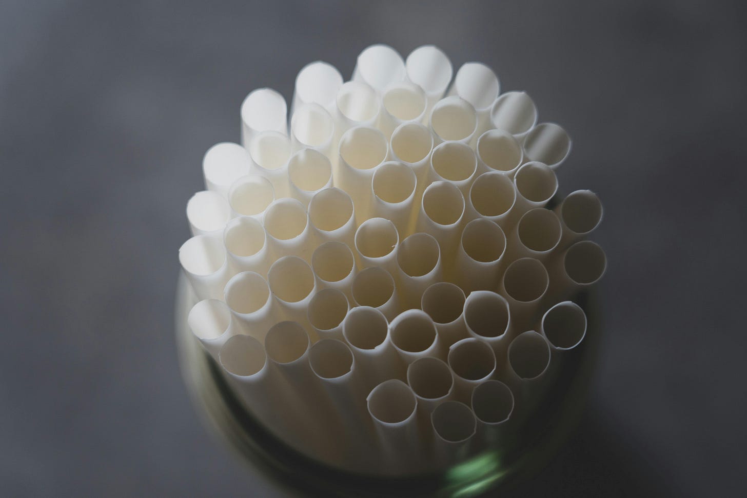 Florida's Potential Paper Straw Ban: What It Means for Disney World