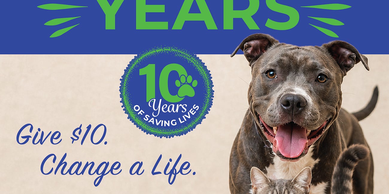 Friends of Manatee County Animal Welfare Launches “$10 for 10” Campaign to Celebrate a Decade of Saving Shelter Animals