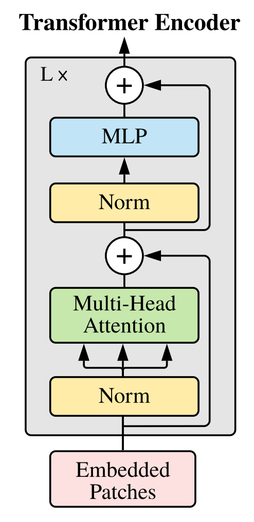 ViT(Encoder Visual).png