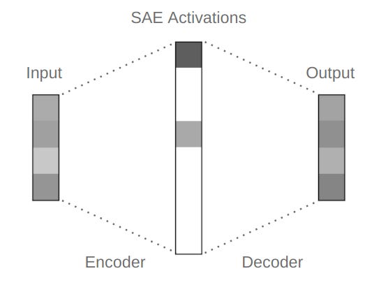 SAE activations