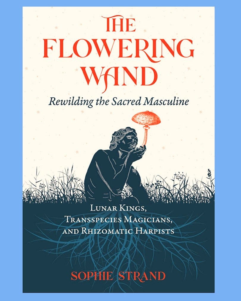 My book The Flowering Wand is available for pre-order!