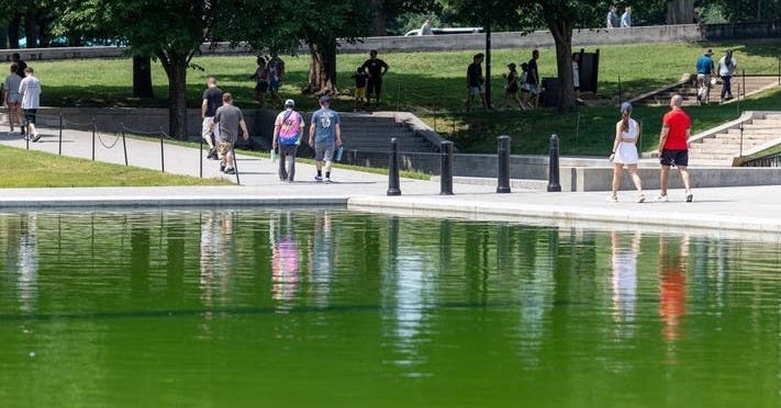 Reflecting Pool Green Again After Trump's $14 Million Renovation Reflecting Pool Green Again After Trump's $14 Million Renovation