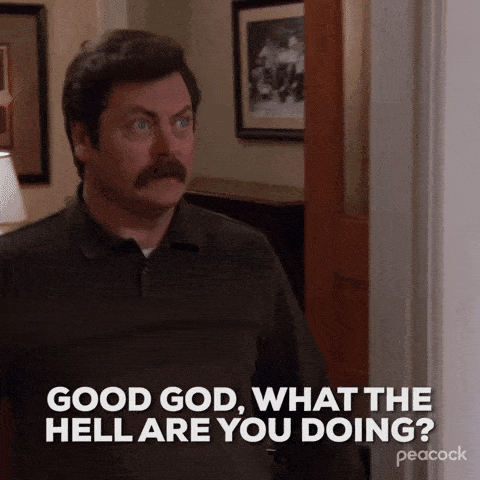 "What the hell are you doing?" gif