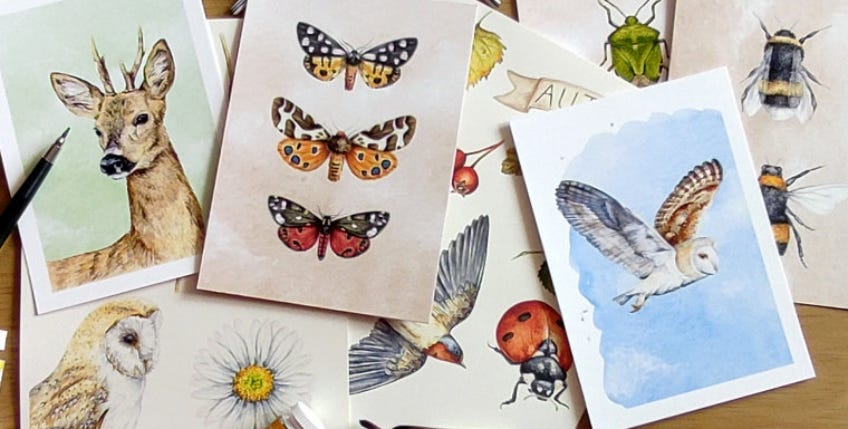 Paintings and prints of wildlife