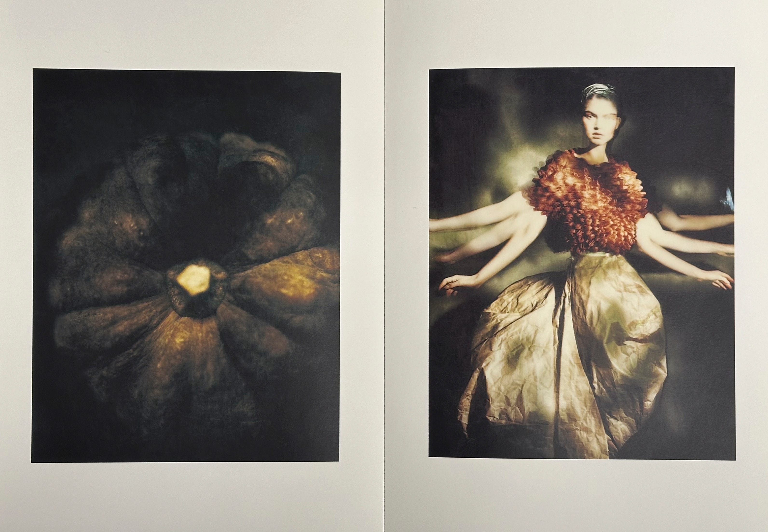 21 Frames of Wonder - Light and Storytelling