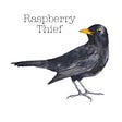 Raspberrythief Nature Journals's avatar
