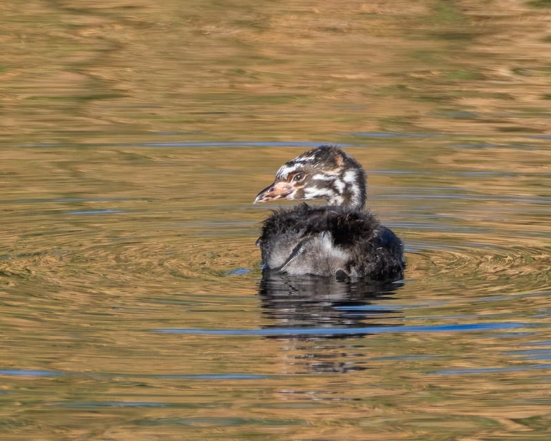 20250915-sgc-29-Edit.jpg 20250915-sgc-29-Edit.jpg