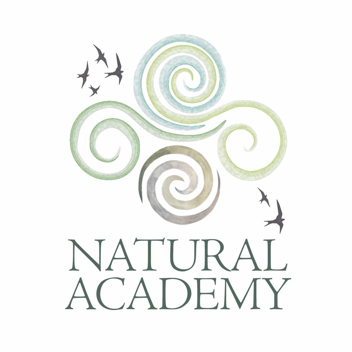 Natural Academy 