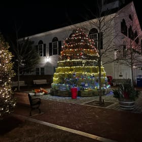 🎄 Holidays on Martha's Vineyard: 2025 Bucket List