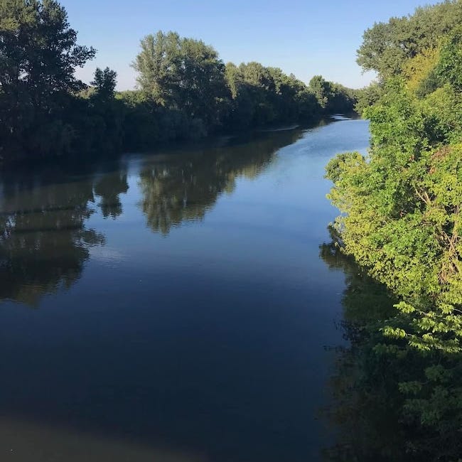 Harriet Corvine Tales