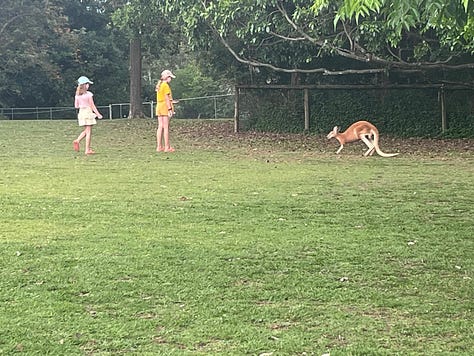 A selection of photos depicting our time visiting Lone Pine - including a photo with the Koala statue, feeding kangaroos, and watching the birds of prey show. 
