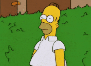 Hide Hiding GIF Hide Hiding GIF