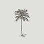 seldom points's avatar