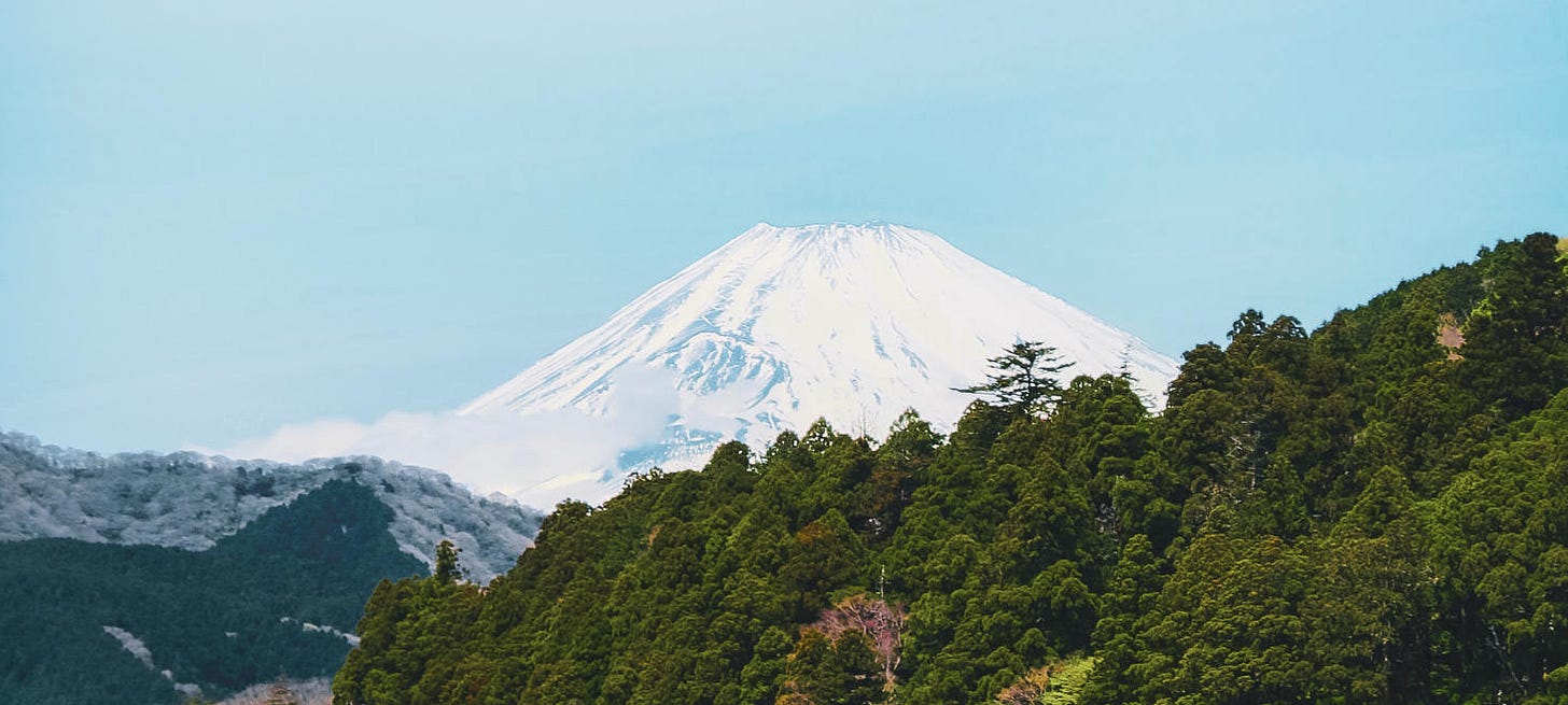 Fuji Mountain 就是滿滿的 Fuji 的 Rock