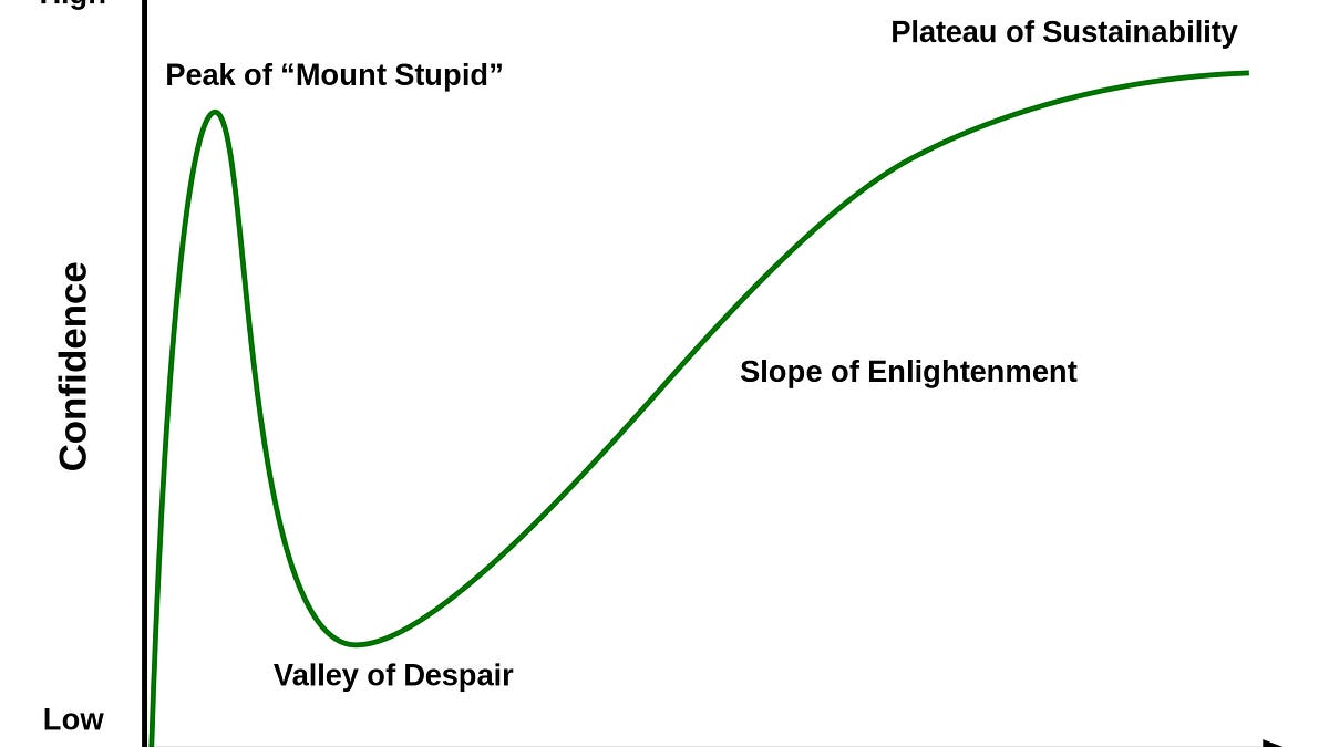 The Dunning-Kruger Effect: Cognitive Bias or Statistical Artefact?