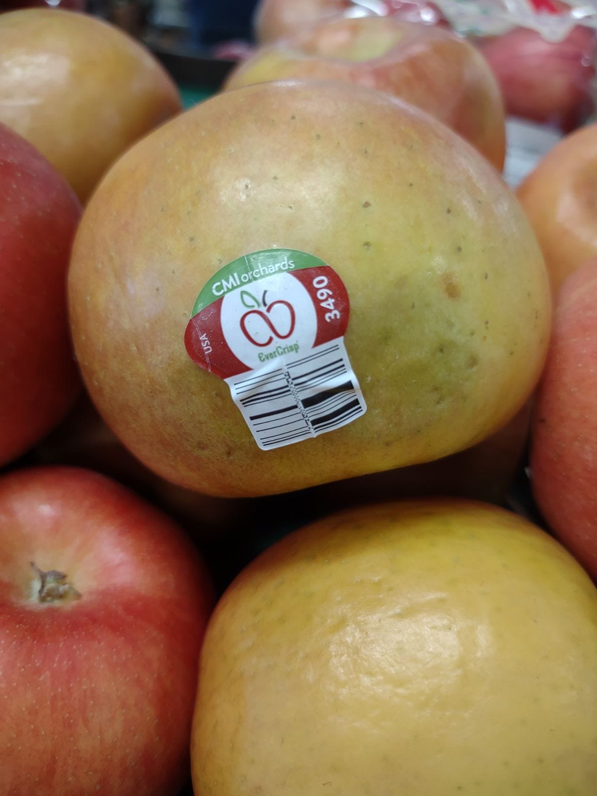 🍎 Apple Pick of the Week – Feb 20 - by Eric Samuelson