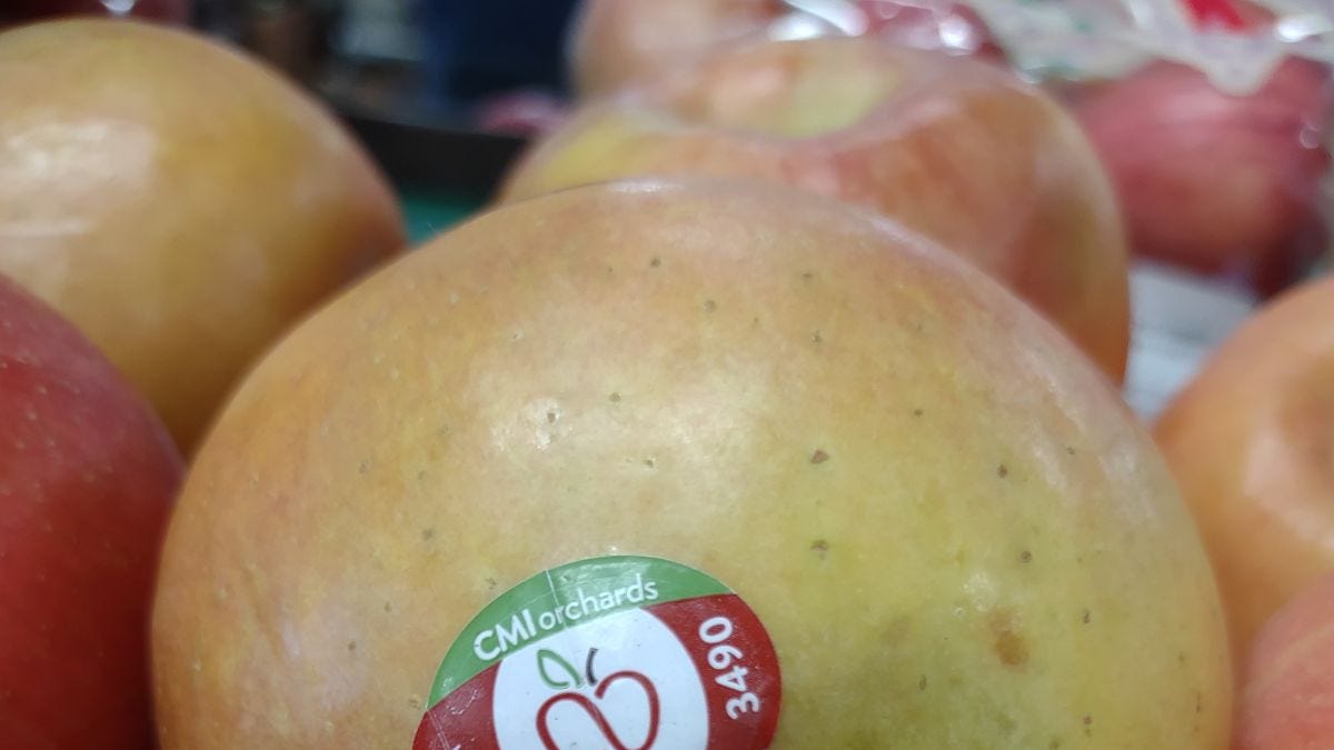 🍎 Apple Pick of the Week – Feb 20 - by Eric Samuelson