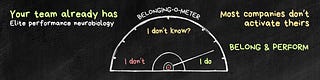 Belong & Perform