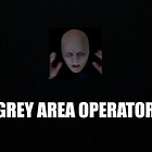 Summary on Agent Grey Area Operator