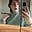 Emma Sagerer's avatar