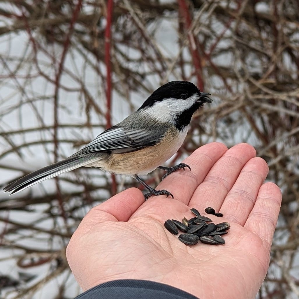 The Possibilities Project