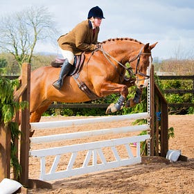 Working Hunter success at Ardnacashel