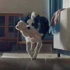 Bosch reklamı ve iktidarın “aile” hassasiyeti