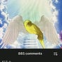 Sunlight's avatar