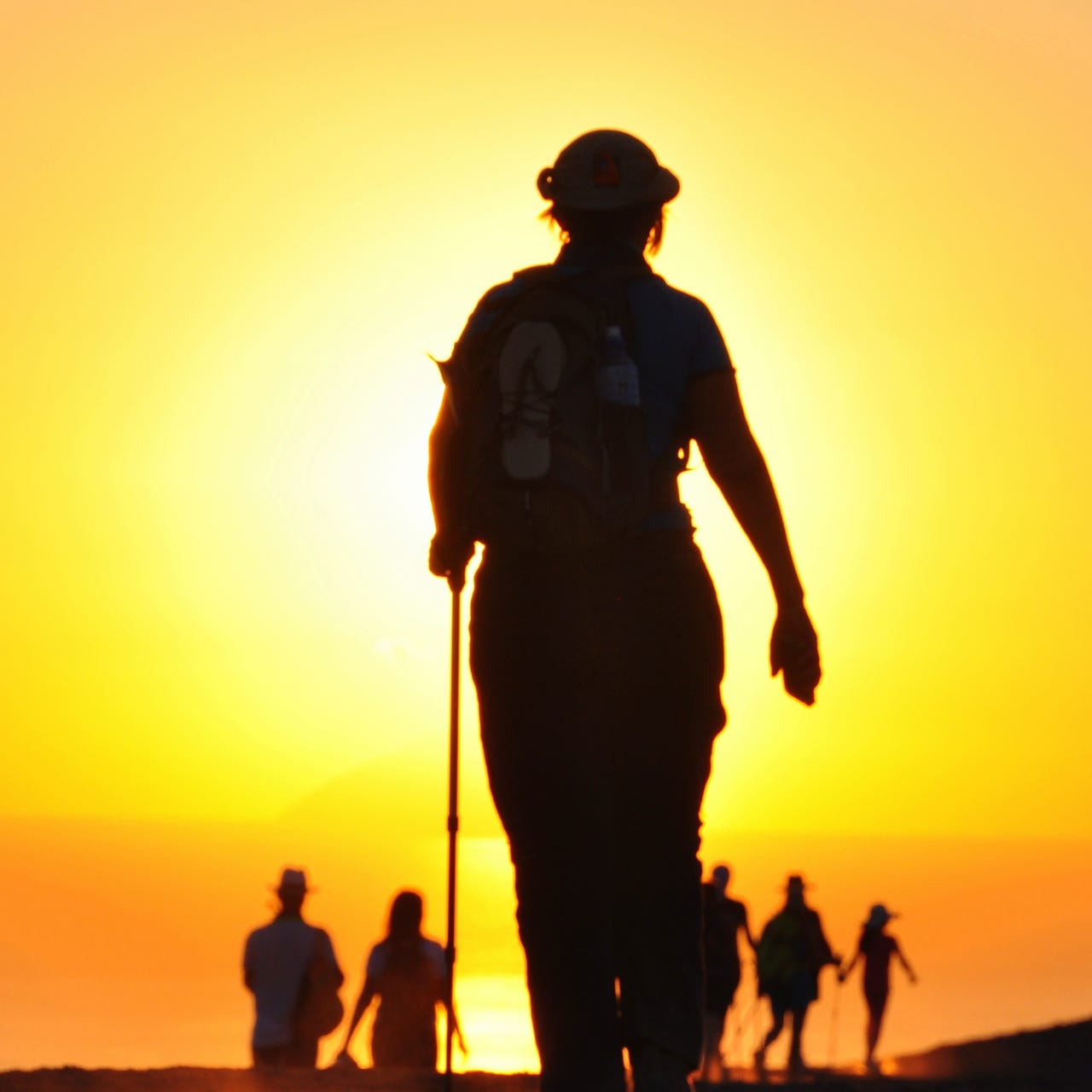 Viridi Litterae de Marga Sebastián