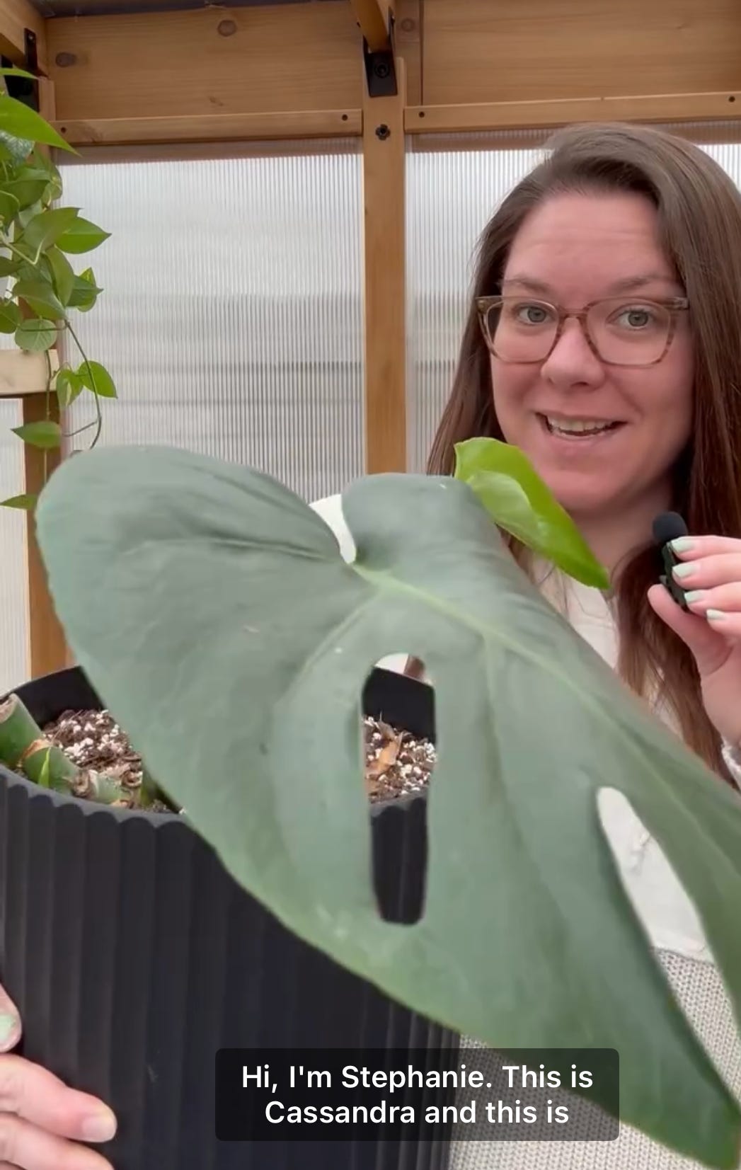 Emotional Support Plants - The Enthusiast by Brad Montague