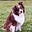 Ima Dogbutler's avatar