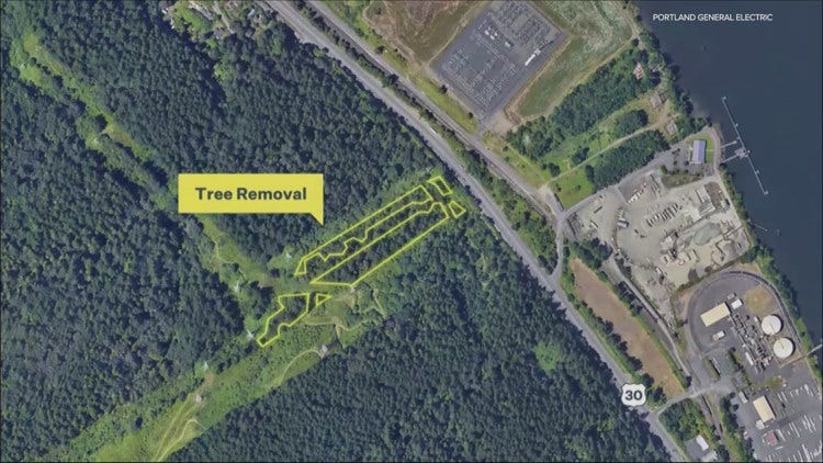 Shady Forest Park deal