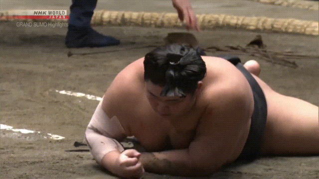 Sumo Stomp! | Tim Bissell | Substack