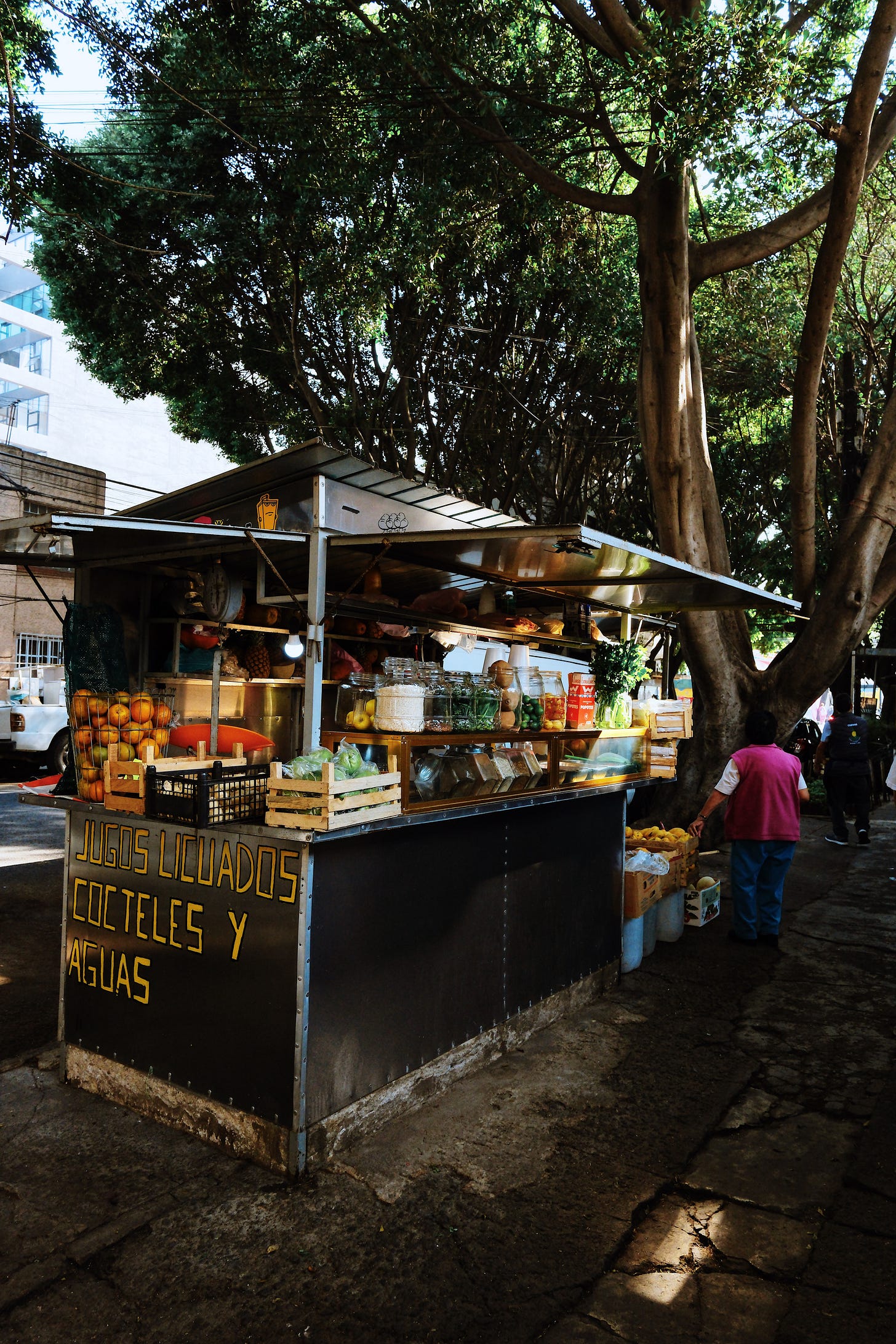 A juice stand selling jugos, licuados, cocteles, and aguas sits under a large tree on a Mexico City sidewalk, stocked with fresh fruit and glass jars.