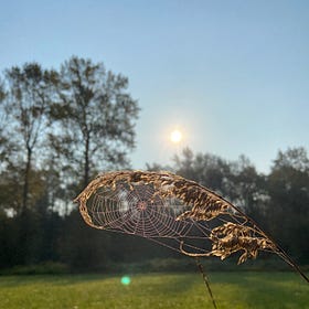 What Does Support Look Like For You?