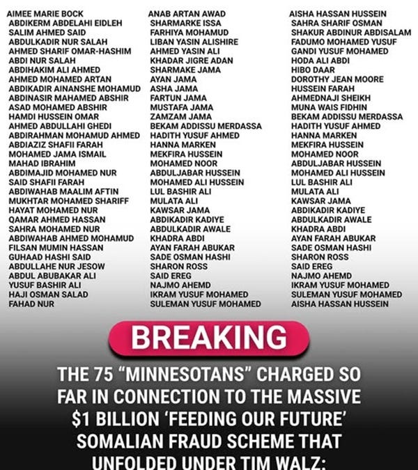 Somalis Partner With Dems To Steal Tax Dollars