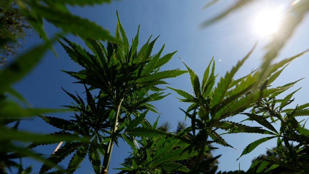 teenhealthtoday.com - Christopher Pepper - 'This Is Very, Very, Very Worrying,'